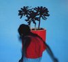 Local Natives: Sunlit Youth (digipack) [CD]