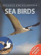 Sea Birds