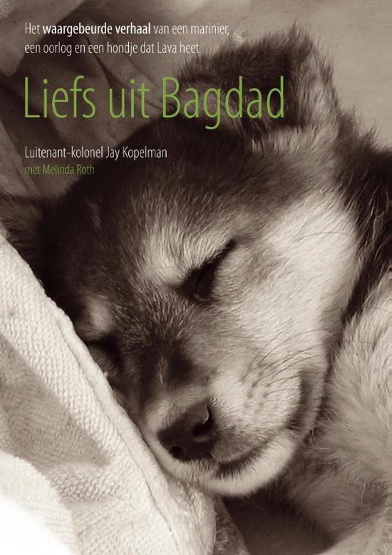 Cover van het boek 'Liefs uit Bagdad'