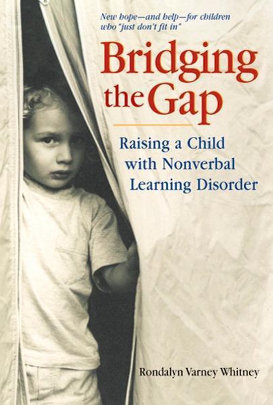 Bridging the Gap - cover