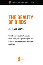 The Beauty of Birds