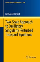 Lecture Notes in Mathematics 2190 - Two-Scale Approach to Oscillatory Singularly Perturbed Transport Equations