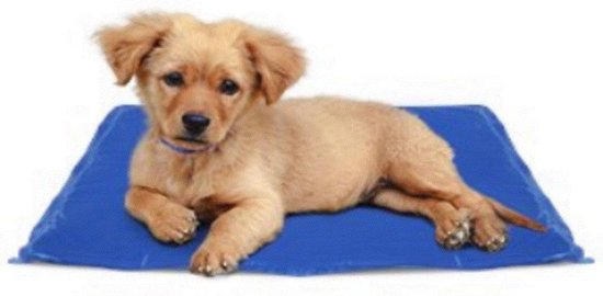 Koel mat voor honden - Cooling mat - 40 x 50 cm - Blauw