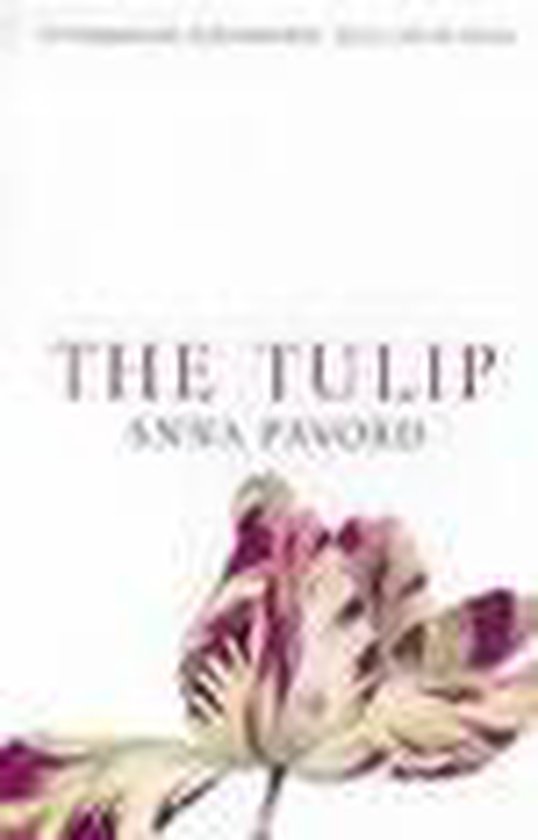 Tulip - cover