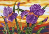 Diamond Dotz® Iris Sunset - Diamond Painting (60x44 cm)