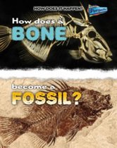 How Does a Bone Become a Fossil?