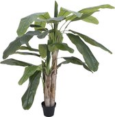 Europalms Bananenboom - 170cm - Kunstplant - Bananenplant