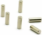 Magneet Magic Cylinder (Neodymium)