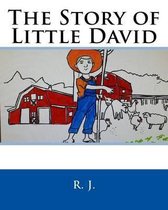 The Story of Little David