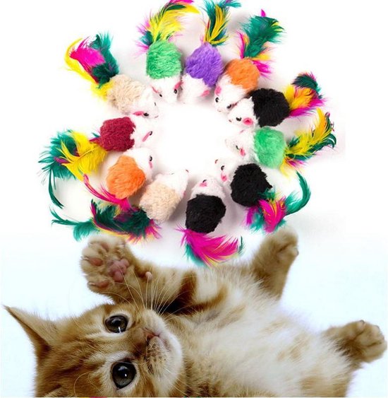 Kitty
