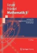 Mathematik 1: Lehrbuch Für Ingenieurwissenschaftliche Studiengänge