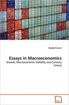 Essays in Macroeconomics