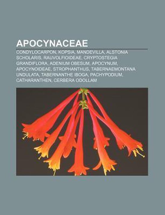 Apocynaceae - cover