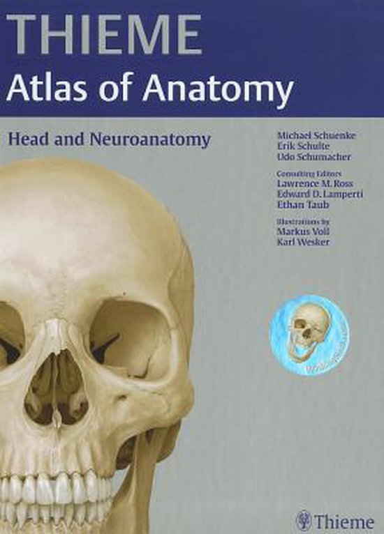 Head And Neuroanatomy Thieme Atlas Of Anatomy 9781604062960