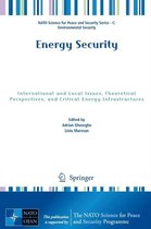 NATO Science for Peace and Security Series C: Environmental Security- Energy Security
