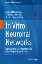 Advances in Neurobiology 22 - In Vitro Neuronal Networks