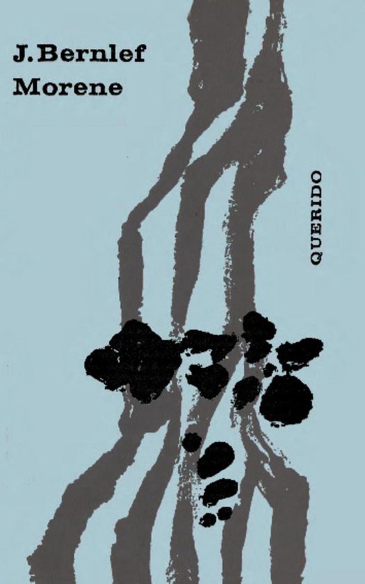Cover van het boek 'Morene'