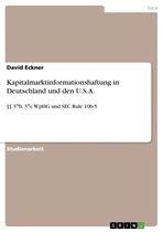 Kapitalmarktinformationshaftung in Deutschland und den U.S.A.