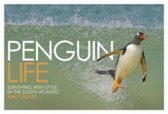Penguin Life