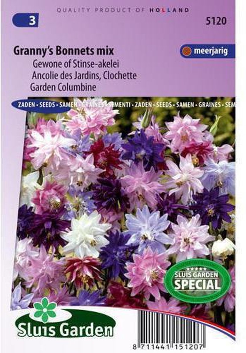Sluis Garden - Akelei Granny's Bonnets Mix (Aquilegia vulgaris) - Sluis garden