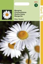 Hortitops Zaden - Chrysanthemum Vernale Leuc.May Queen