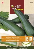 Buzzy  Seeds Bio Courgette Partenon F1 (Skal 14218 NL-BIO-01