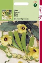 Hortitops Seeds - Okra Clemson Spineless