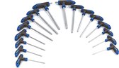 16 Delige T-Greep Inbus en Torx Set