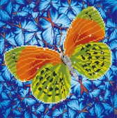 Diamond Dotz® Butterfly Earth - Diamond Painting (38x38 cm)