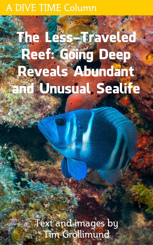 The Less Traveled Reef: Going Deep Reveals Abundant and Unus ... - cover