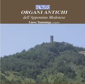 Liuwe Tamminga Organ - Organi Antichi Dell Appennino Moden (CD)