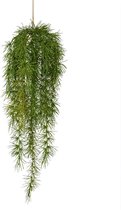 Asparagus Spengeri kunst hangplant 60cm
