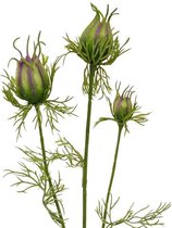 Nigella knop kunsttak 55 cm groen-paars