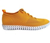 La Strada 1903190 4582 Yellow Knitted maat 39