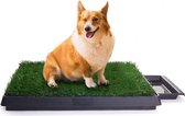 Rexa® hondentoilet voor honden 63 x 50cm - indoor puppytoilet met gras, trainingsonderlegger voor kleine honden, grote honden en oudere honden - Zindelijkheidstraining