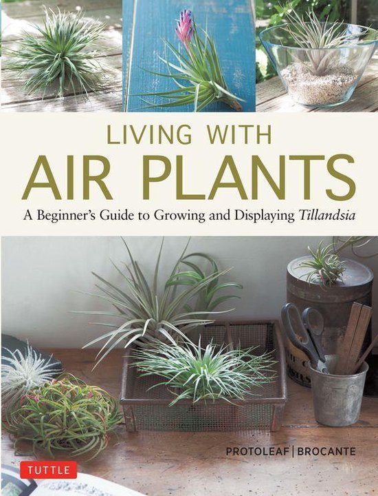 Living with Air Plants - cover