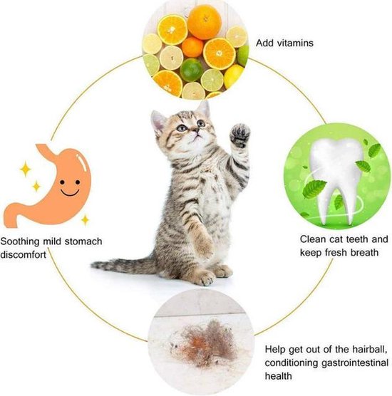 pomp Hopelijk Verwachten Katten tanden verzorging | Gebitsverzorging | Kattenkruid | Katten  tandenborstel|... | bol.com