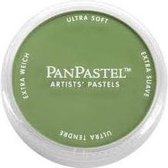 PanPastel Pastelnap Chromium Oxide Green 9 ml