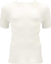 Apollo T-shirts Round Neck Heren Viscose Wit 2 Stuks Maat M