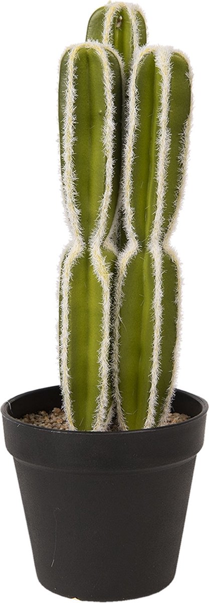 Kunstbloem 34 cm Groen Kunststof, Foam Kunstplant Nepplant Nepbloem