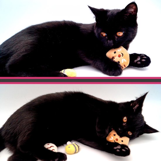 Make Me Purr Mini Diertjes Set - Kattenspeeltjes met Catnip Kattenkruid - Kattenspeelgoed - Speelgoed voor Katten - Kat Speeltje - Kitten Speeltjes - Make Me Purr
