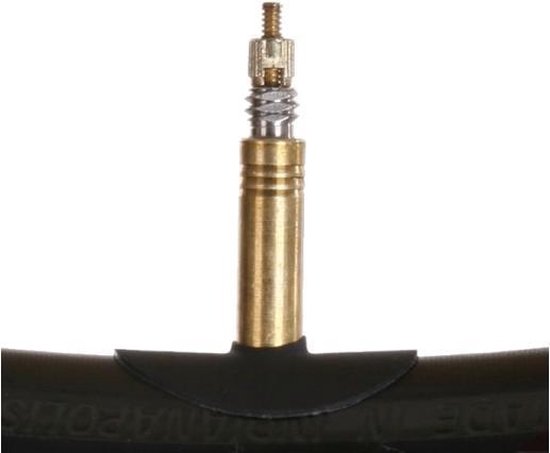 QKURT 10 stuks fietsadapter, inflatie-adapterset, pompadapter, ventieladapter, Schrader Valve Presta-Valve Walsen voor fietsen, banden, inflator, luchtpomp, compressor
