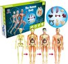Afbeelding van het spelletje Anatomie van het menselijk lichaam speelgoed - Menselijke bouwdelen  educatieve intelligente doe-het-zelf wetenschappelijk experiment kit - Educatieve speelgoed - Jongens Speelgoed - Meisje Speelgoed -