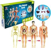 Anatomie van het menselijk lichaam speelgoed, Educatieve speelgoed - Jongens Speelgoed - Meisje Speelgoed - fidget toys pakket.