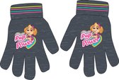 Handschoenen van Paw Patrol, Skye