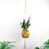 Plantenhanger - 215 cm - Katoen - Plantenpot - Hangpot - Hangende bloempot - Plantenhanger macrame - Plantenhanger binnen - Hangpotten - Plantenhangers
