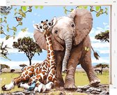 Schilderen op Nummer Olifant Giraffe 40x50 met Frame Volwassenen & Kinderen - Kleuren op Nummer - Paint by Number - Hobbypainting.nl®