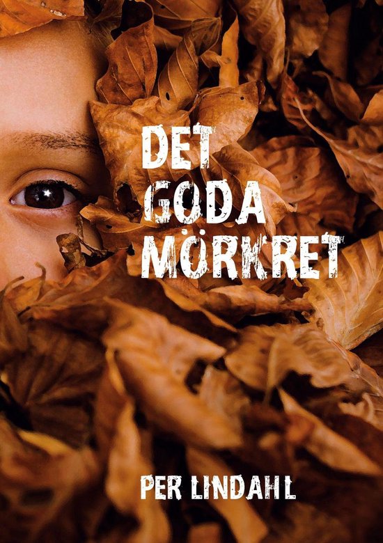 Det goda mörkret - cover