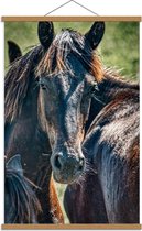 Schoolplaat – Omkijkend Paard - 60x90cm Foto op Textielposter (Wanddecoratie op Schoolplaat)