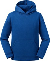 Russell Kinderen/Kinderen Authentieke Sweatshirt met kap (Helder Koninklijk)